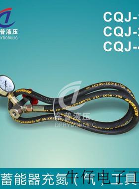 现货直销国标NXQ蓄能器CQJ型充氮工具  欧标5/8 7/8 5/16 六合一