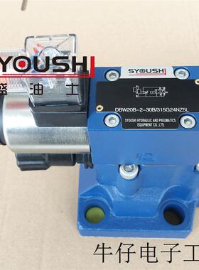 电磁溢流阀DBW20B-50/315/6AG24NZ5L,DBW20B2-52/100-6EW230N9K4