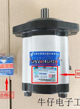 齿轮泵CBT-F414/F416-AFP/AFPL/AFΦ/AFΦL/AFH/AFHL