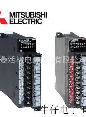 RX10-TS PLC模块AC输入16点 AC100~120V 弹簧夹端子排