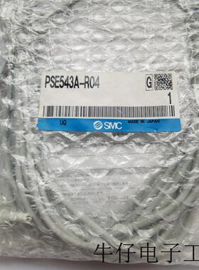 压力表 PSE543A-R04