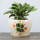 中国风家用陶瓷花盆喜乐八方来财桌面盆栽蝴蝶兰花多肉大花盆带托