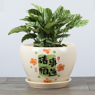 中国风家用陶瓷花盆喜乐八方来财桌面盆栽蝴蝶兰花多肉大花盆带托