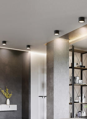 明装筒灯4寸5寸6寸8寸吸顶灯15w免开孔天花灯外装桶灯led黑色圆形