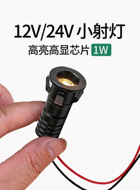 【12V 1W开孔18mm】超小嵌入式迷你小射灯微型LED孔灯低压展柜灯