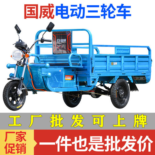 国威电动三轮车拉货货车载重王成人家用快递车农用三蹦子工厂直销