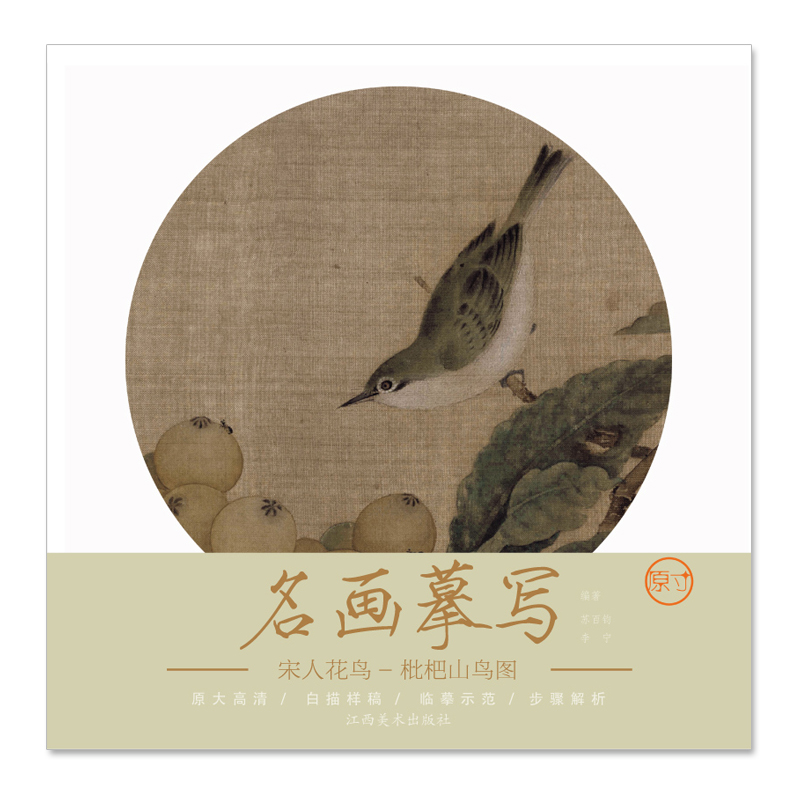 枇杷山鸟图原大高清白描样稿临摹示范步骤解析工笔画初学者入门临摹零