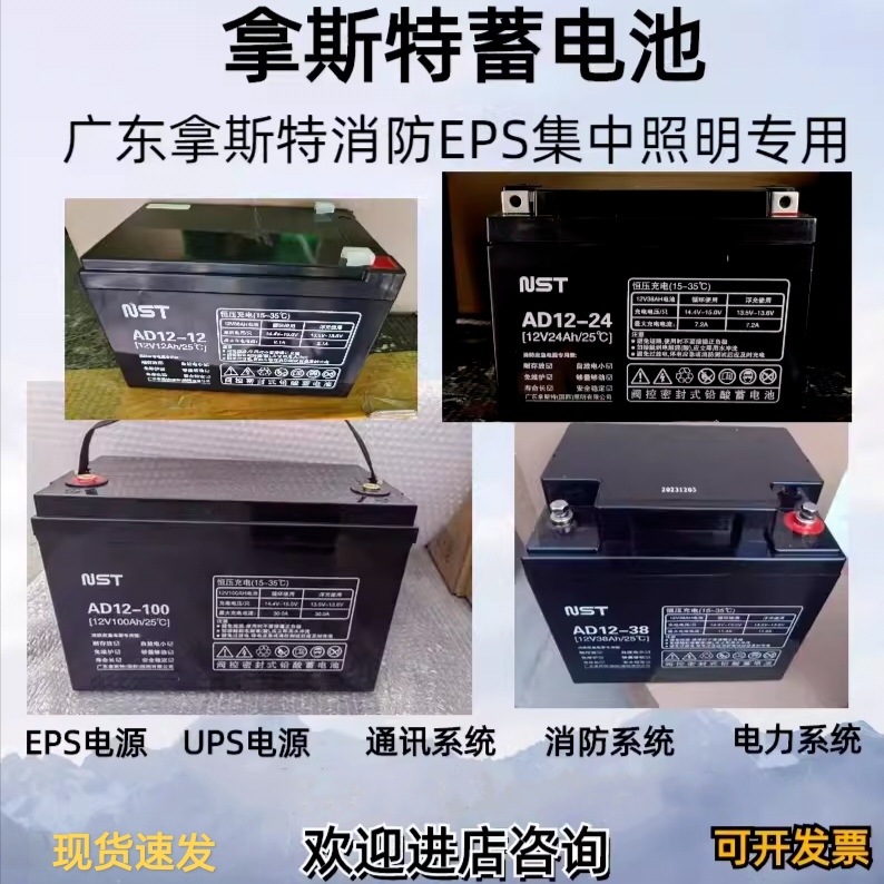 NST拿斯特蓄电池AD12V100A65A55A38A24A18A12AH集中应急照明EPS用