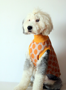 HippyPuppy无袖针织马甲宠物服装中大型犬衣服大狗秋冬金毛