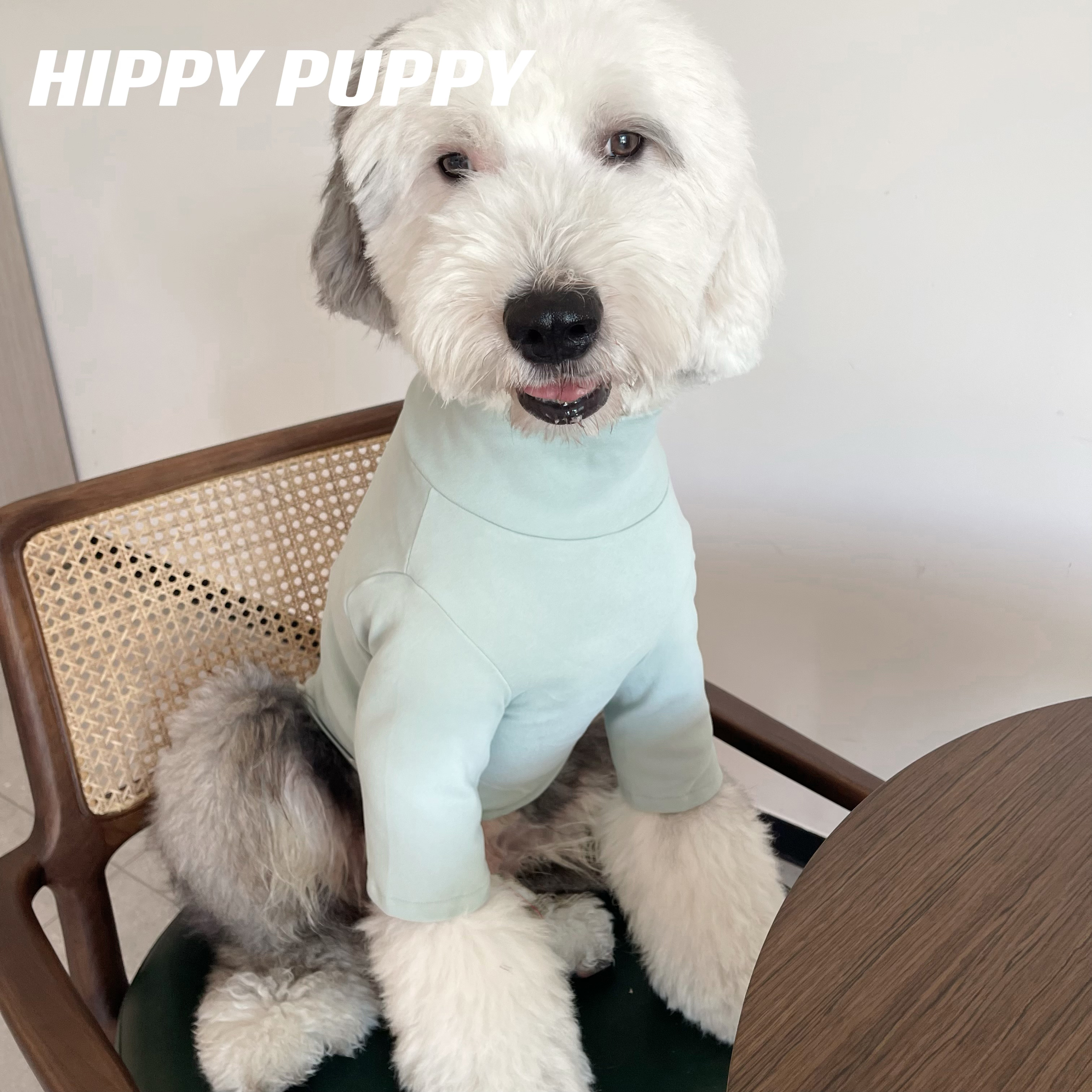 新款德绒打底衫舒适柔软大型犬