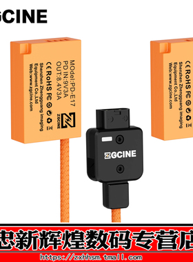 ZGCINE影小能 D-TAP转LP-E17假电池/TYPE-C转E17 适用佳能R50 R8 m6mark2 R10 RP 200D 750D 800D 850D M5 M6