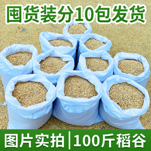 大客户专享农家自种带壳大米新稻谷谷子水稻稻子带壳粮食