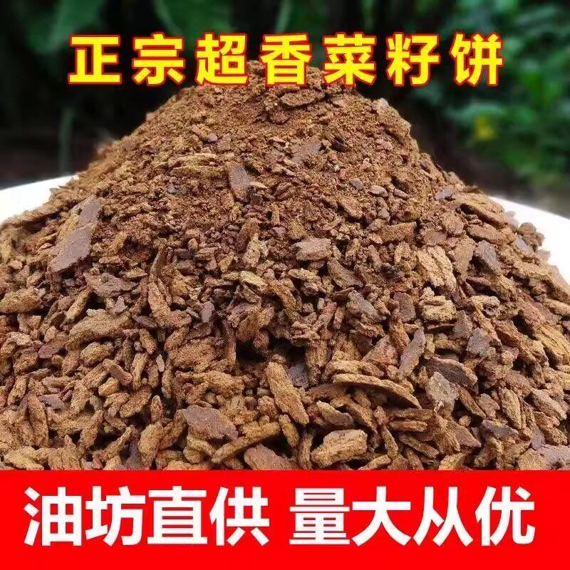 菜籽饼肥料钓鱼打窝农家现榨菜籽油枯饼有机肥营养土粉块种菜种花