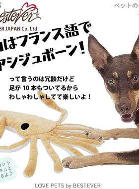 bestever宠物发声玩具 海鲜大鱿鱼/解闷/磨牙/互动