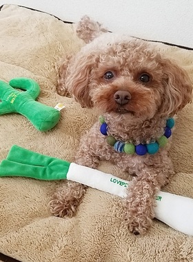 宠物小狗发声玩具 大葱/解闷/磨牙bestever