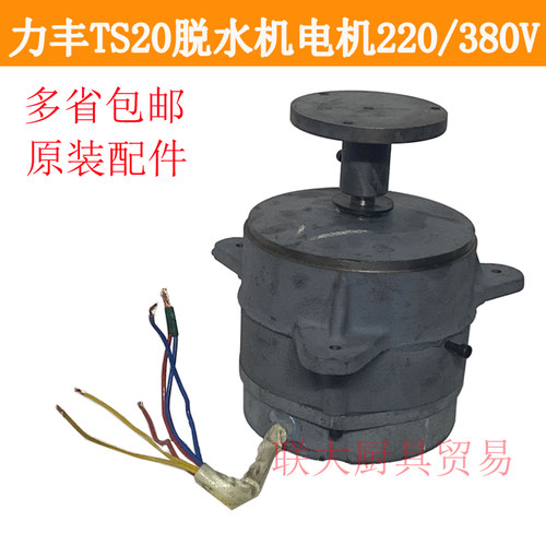 力丰TS20 TS15 TS15A食物脱水机甩干机原厂配件铜线电机马达 一套
