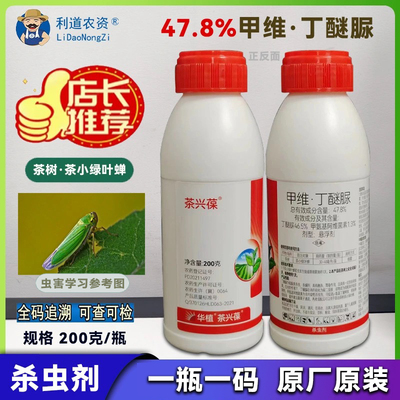 茶兴葆甲维丁醚脲树茶小绿叶蝉