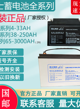 理士蓄电池12V5AH-250AH DJ2V全系列UPS机房EPS直流屏用 官方正品