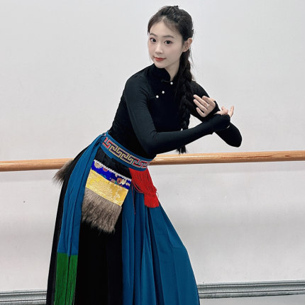 民族舞练功服上衣藏族舞演出服蒙古舞艺考女表演服广场舞比赛套装