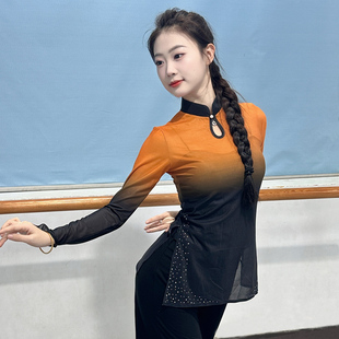 古典舞服装 身韵纱衣形体中国舞艺考基训服上衣舞蹈练功服 高领长袖
