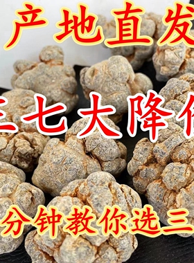 云南文山春三七足干特级18头20头30头非野生37田七超细粉正品500g