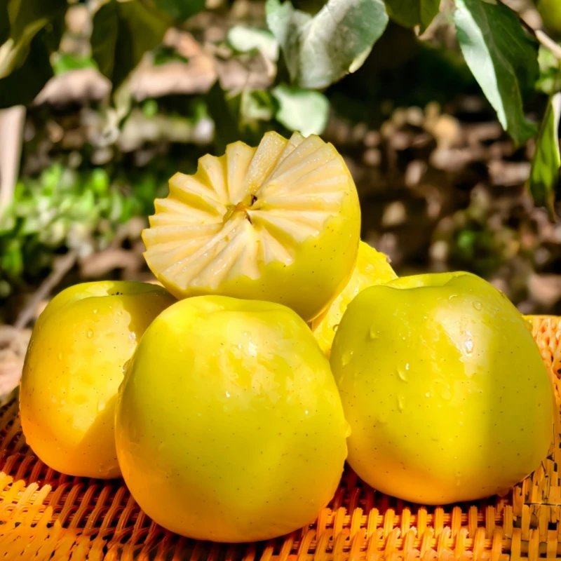 新疆阿克苏维纳斯黄金苹果新鲜水果当季脆甜多汁皮薄个大礼盒装,水产肉类/新鲜蔬果/熟食,苹果,淘宝优惠券,粉丝福利购,淘宝优惠卷