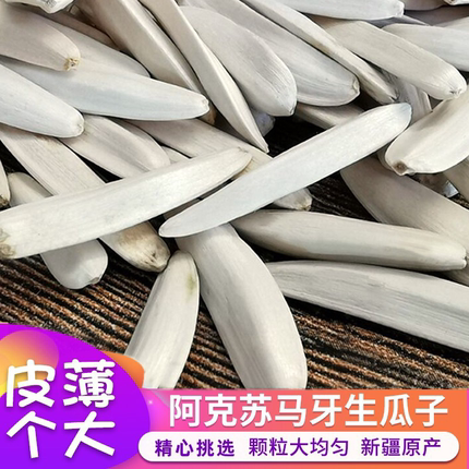 新疆阿克苏马牙瓜子大颗粒生瓜子新货葵花籽白皮原味牙签瓜子500g