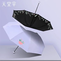 Светло -фиолетовый [расцвета в то время] ★ Эффективное охлаждение ★ И дождь, и дождь