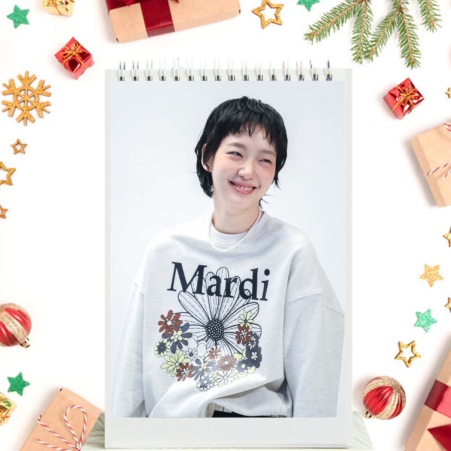 金高银/全度妍/孙艺珍/ 李多海/金惠允/卢正义2026/27年台历日历