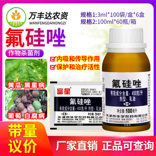 富星40%氟硅唑植物月季黄瓜黑痘病黑星病黑斑病白粉病农药杀菌剂