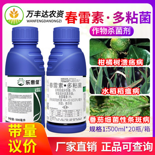 先正达乐惠健春雷霉素多粘菌溃疡病稻瘟病细菌性条斑病农药杀菌剂