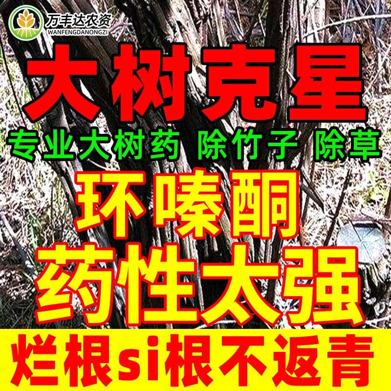 环嗪哃竹子树药除草烂根颗粒环嗪酮乔木杂草灌木专用农药除草剂
