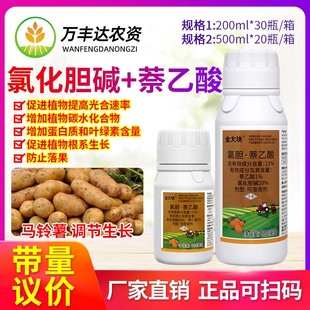 比赛尔金大块21%氯化胆碱萘乙酸马铃薯地下根茎膨大剂生长调节剂