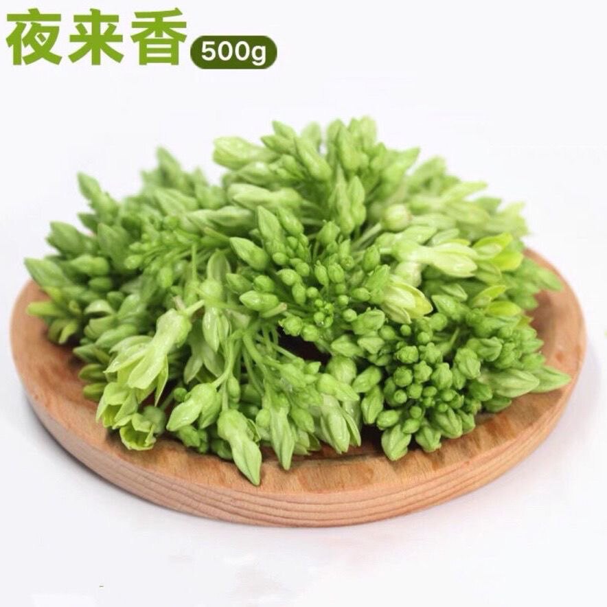 夜香花食用夜来香新鲜特菜