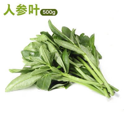 新鲜参叶土人特色蔬菜