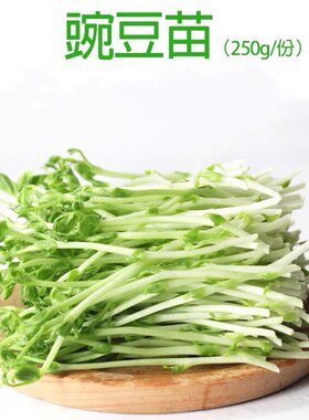 新鲜蔬菜豌豆苗豆芽苗菜龙须苗豌豆尖上汤火锅西餐食材沙拉250g