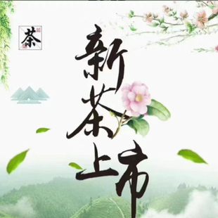 2025新茶石台硒茶黄山毛峰明前茶野生茶高山口粮茶500g包邮