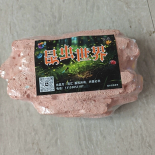 考古挖掘玩具昆虫精灵化石标本琥珀盲盒儿童男女孩手工寻宝石宝藏