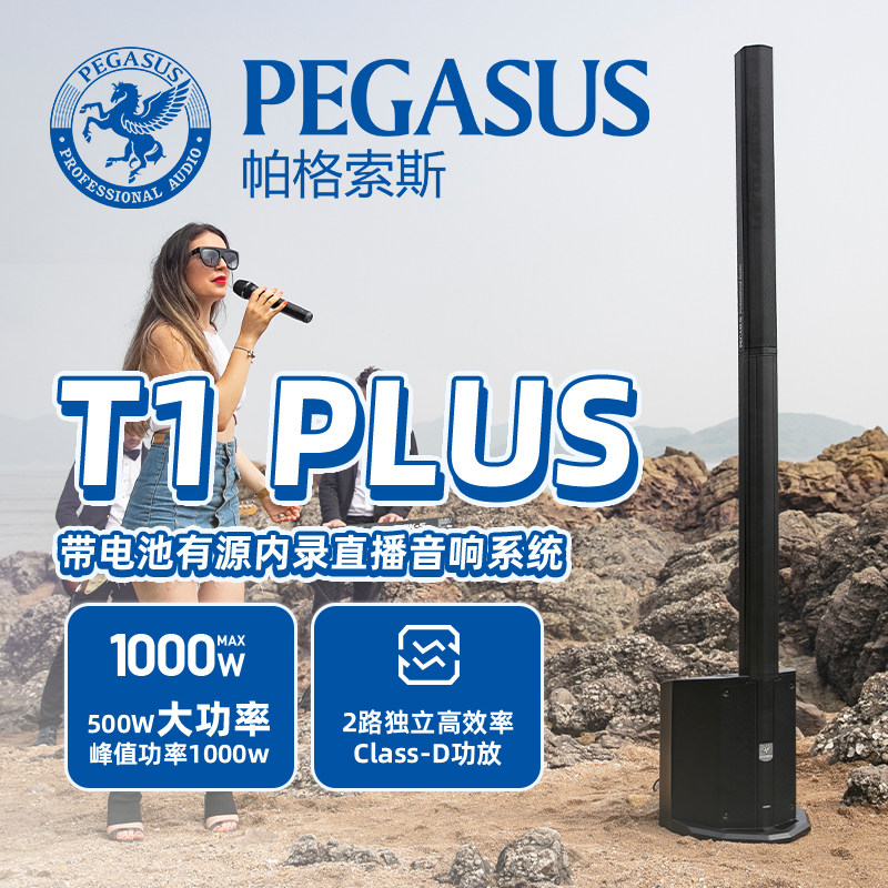 PEGASUS帕格索斯T1音箱T1PLUS音柱可充电多功能乐器直播内录音响