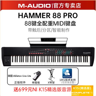 AUDIO HAMMER 全配重钢琴手感专业MIDI键盘 Pro 野雅绫