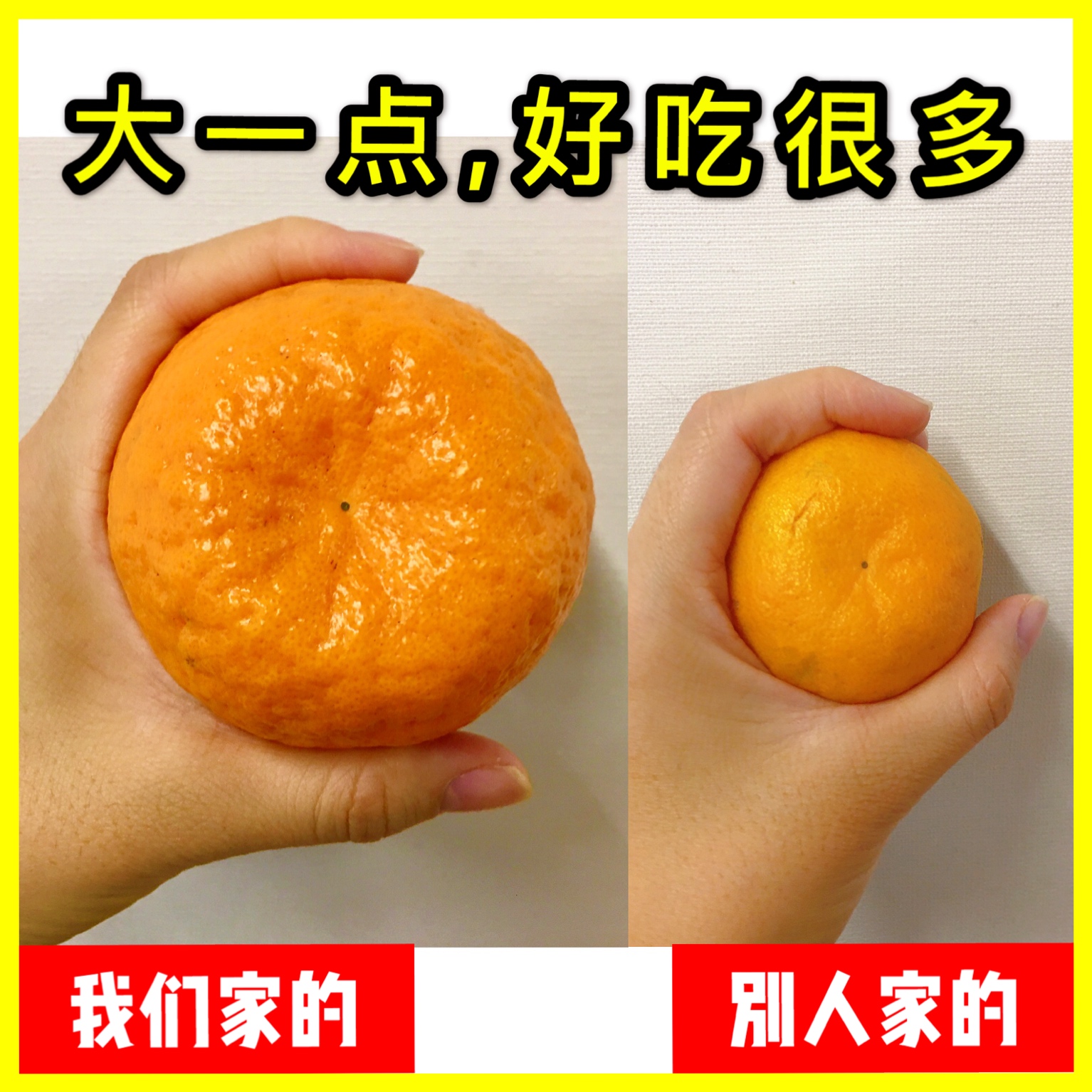 湖南湘西椪柑大果10斤装新鲜碰柑橘子丑柑芦柑孕妇应现季水果柑子