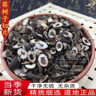 葵树子  中药材野生葵扇籽葵树籽葵扇子蒲葵籽蒲葵子切片500g包邮