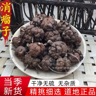 消瘤子 野生新货中药材500克包邮消瘤藤子 星毛冠盖藤 有草乌