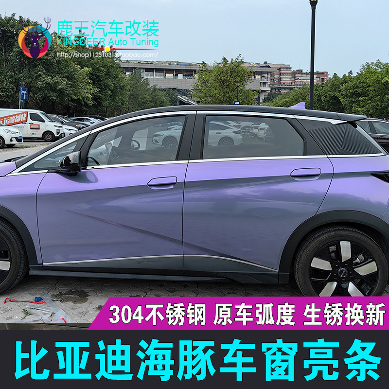 比亚迪海豚车窗饰条门窗亮条配件