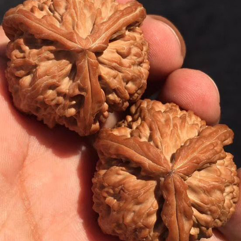 文玩核桃三棱大奔高拋機刷包漿