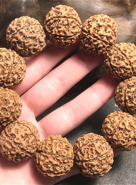 大金刚菩提原籽文玩手串