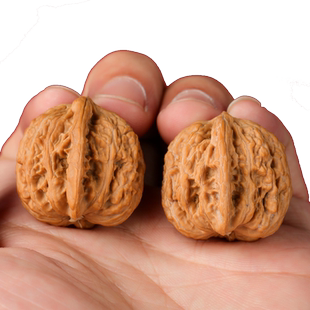 文玩核桃二代南疆石狮子头天然,凹底大肚,比较周正,盘把件蚂蚁纹