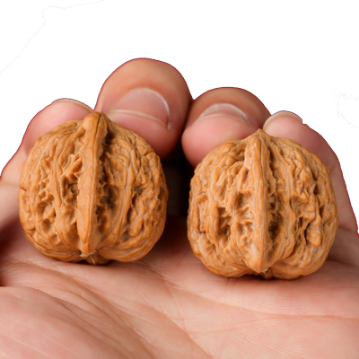 核桃南疆石狮子老款涿鹿炮弹南将