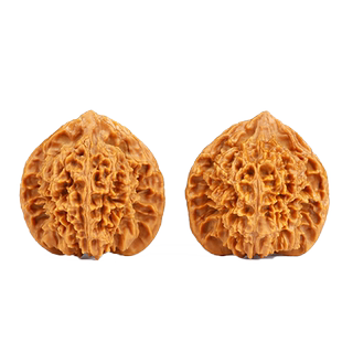 特大文玩核桃大花大刺官帽野外生扎手麻核桃男士盘玩手把件精选品