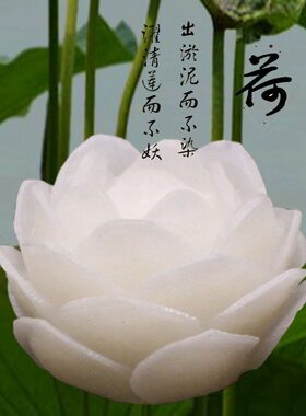 手工雕刻吊坠佛珠项链饰品配件